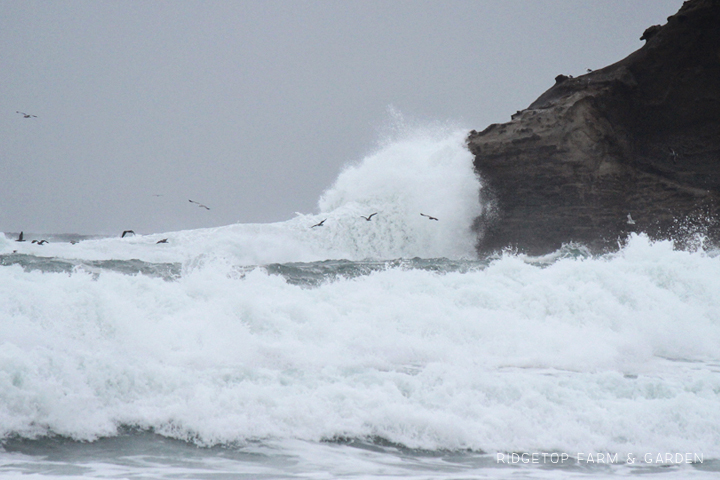 Ridgetop Farm and Garden | 31 Days in Oregon | Cape Kiwanda | Pacific City