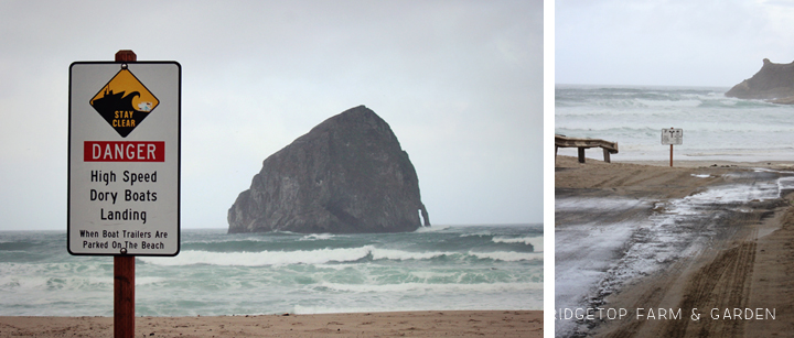 Ridgetop Farm and Garden | 31 Days in Oregon | Cape Kiwanda | Pacific City