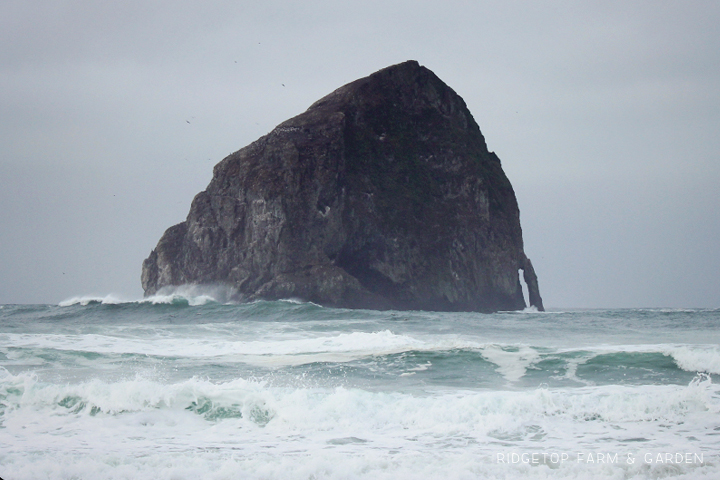 Ridgetop Farm and Garden | 31 Days in Oregon | Cape Kiwanda | Pacific City