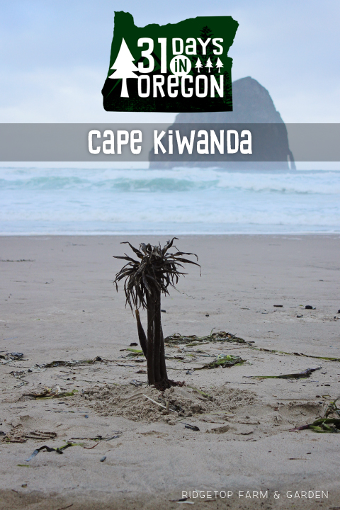 Ridgetop Farm and Garden | 31 Days in Oregon | Cape Kiwanda | Pacific City