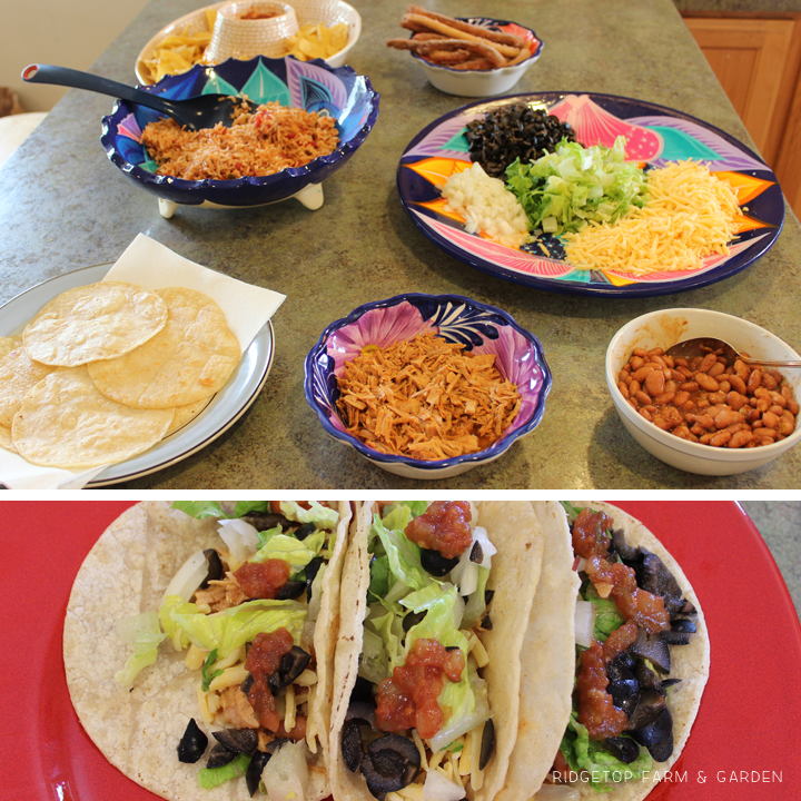 Ridgetop Farm and Garden | Home School | Mexico | Cinco de Mayo