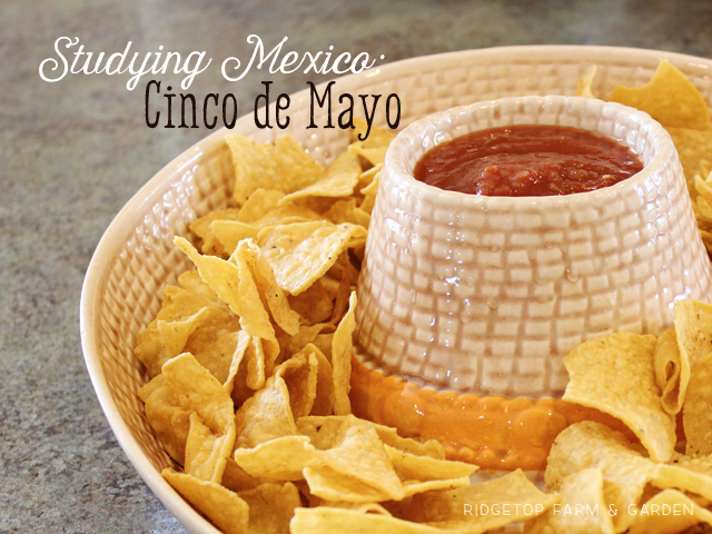 Ridgetop Farm and Garden | Home School | Mexico | Cinco de Mayo