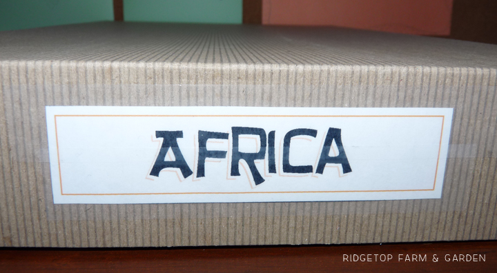 Ridgetop Farm and Garden | Continent Boxes | Africa