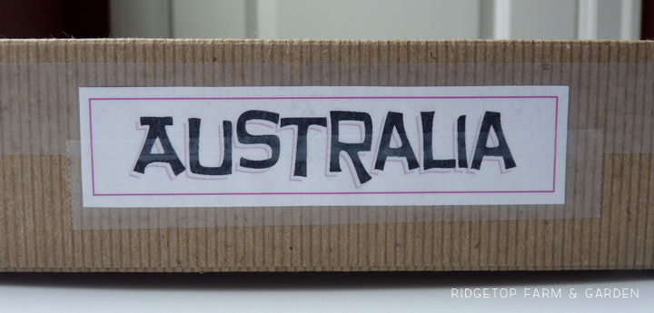 Ridgetop Farm and Garden | Continent Boxes | Australia