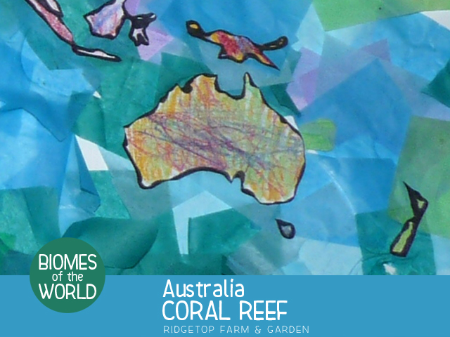 Ridgetop Farm and Garden | Biomes of the World | Australia | Coral Reef