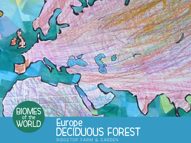 Ridgetop Farm and Garden | Biomes of the World | Europe | Deciduous Forest