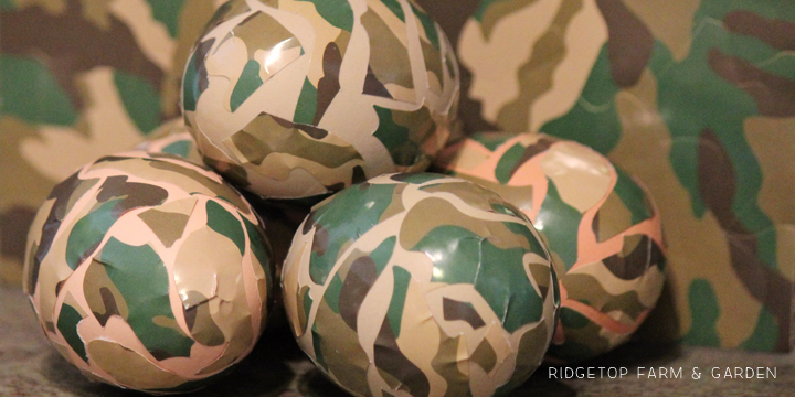 Ridgetop Farm and Garden | Trying out egg dye kits