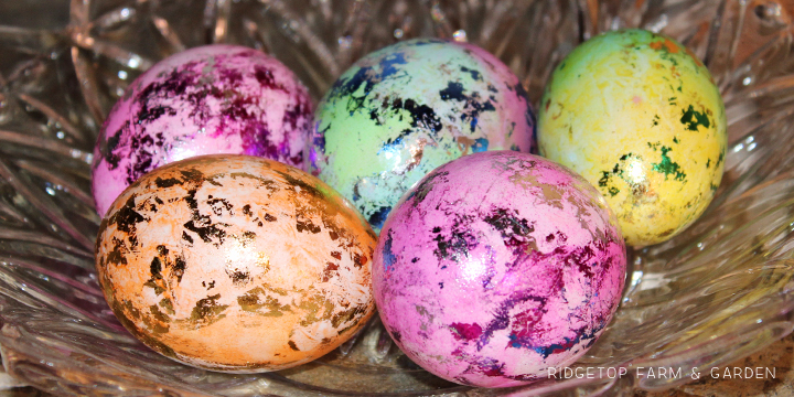 Ridgetop Farm and Garden | Trying out egg dye kits