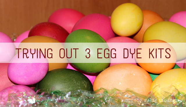 Ridgetop Farm and Garden | Trying out egg dye kits