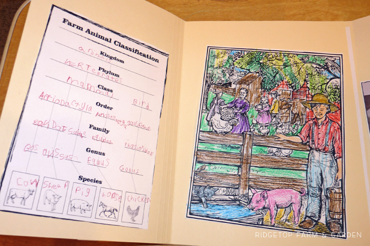 Ridgetop Farm and Garden | Home School | Laura Ingalls Wilder | Farmer Boy | Lapbbook