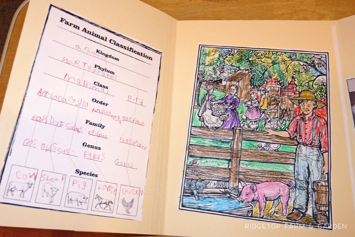 Ridgetop Farm and Garden | Home School | Laura Ingalls Wilder | Farmer Boy | Lapbbook