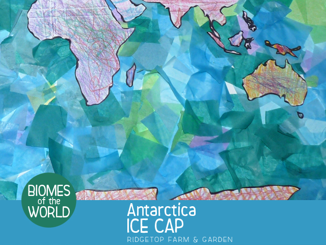 Ridgetop Farm and Garden | Biomes of the World | Antarctica | Ice Cap