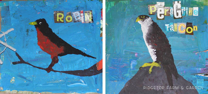 Ridgetop Farm and Garden | Mixed Media Bird Collage | Kid Art | How to