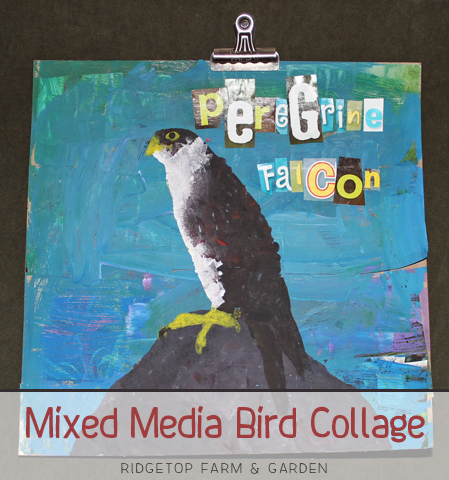 Ridgetop Farm and Garden | Mixed Media Bird Collage | Kid Art | How to