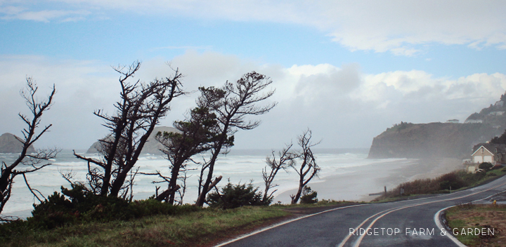 Ridgetop Farm and Garden | 31 Days in Oregon | Netarts | Oceanside