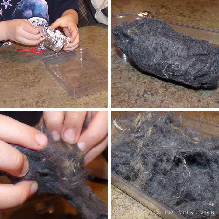 Ridgetop Farm and Garden | Home School | Dissecting Owl Pellet