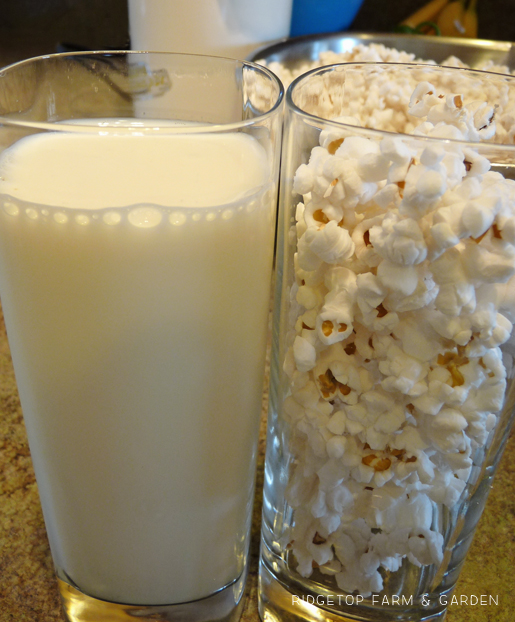 Ridgetop Farm and Garden | Popcorn in Milk Experiment | Laura Ingalls Wilder | Farmer Boy