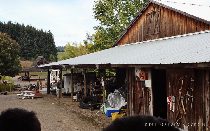  Ridgetop Farm and Garden | 31 Days in Oregon | Roloff Farms