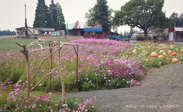  Ridgetop Farm and Garden | 31 Days in Oregon | Roloff Farms