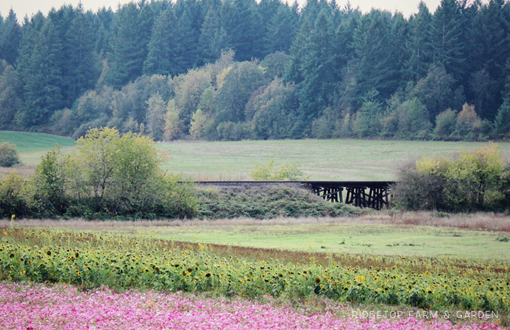  Ridgetop Farm and Garden | 31 Days in Oregon | Roloff Farms