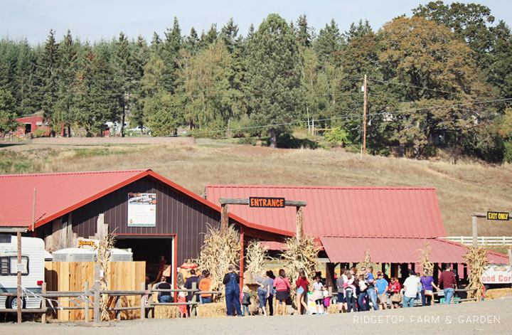  Ridgetop Farm and Garden | 31 Days in Oregon | Roloff Farms