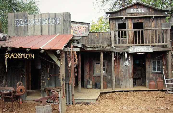  Ridgetop Farm and Garden | 31 Days in Oregon | Roloff Farms