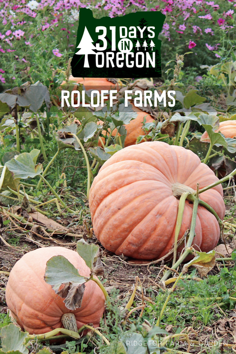  Ridgetop Farm and Garden | 31 Days in Oregon | Roloff Farms