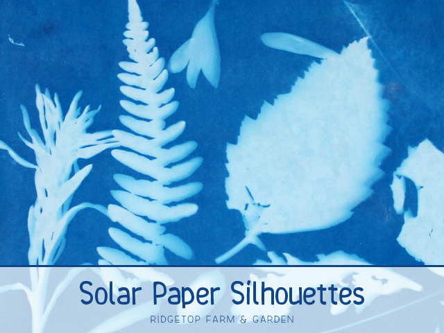 Ridgetop Farm and Garden | Solar Paper