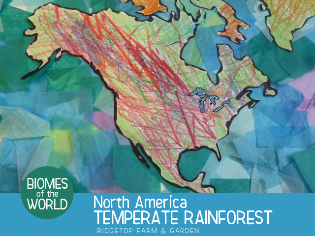 Ridgetop Farm and Garden | Biomes of the World | North America | Temperate Rainforest