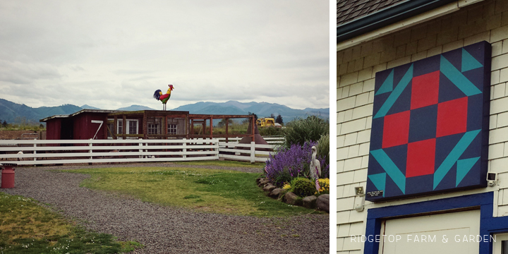 Ridgetop Farm and Garden | 31 Days in Oregon | Tillamook