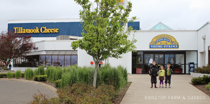 Ridgetop Farm and Garden | 31 Days in Oregon | Tillamook Cheese Factory