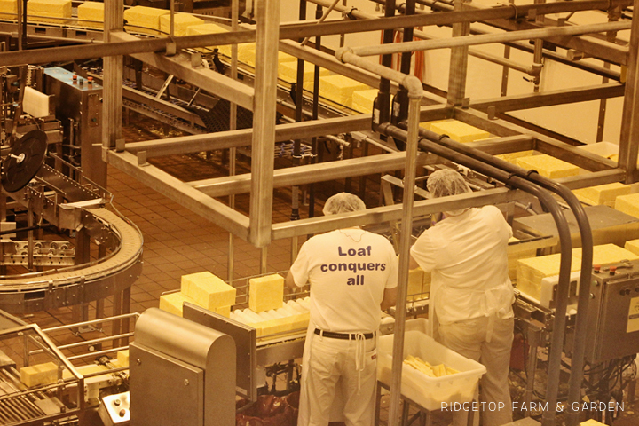 Ridgetop Farm and Garden | 31 Days in Oregon | Tillamook Cheese Factory
