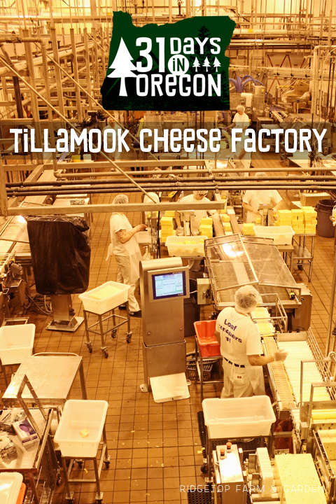 Ridgetop Farm and Garden | 31 Days in Oregon | Tillamook Cheese Factory