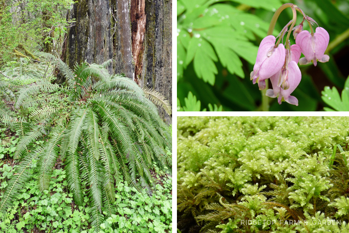 Ridgetop Farm and Garden | Home School | Tillamook Forest Center