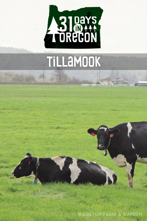 Ridgetop Farm and Garden | 31 Days in Oregon | Tillamook