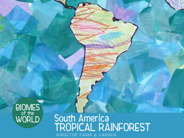 Ridgetop Farm and Garden | Biomes of the World |South America |Tropical Rainforest