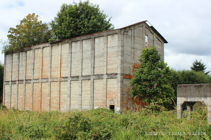 Ridgetop Farm and Garden | 31 Days in Oregon | Vernonia Lake