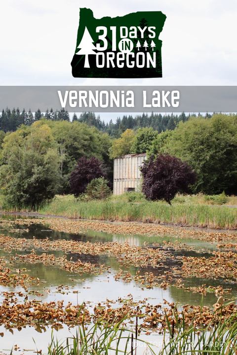 Ridgetop Farm and Garden | 31 Days in Oregon | Vernonia Lake