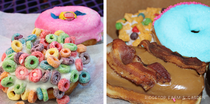 Ridgetop Farm and Garden | 31 Days in Oregon | Voodoo Doughnut | Portland