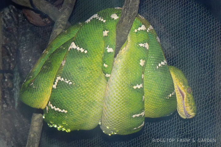 Ridgetop Farm and Garden | Oregon Zoo | Amazon Flooded Forest