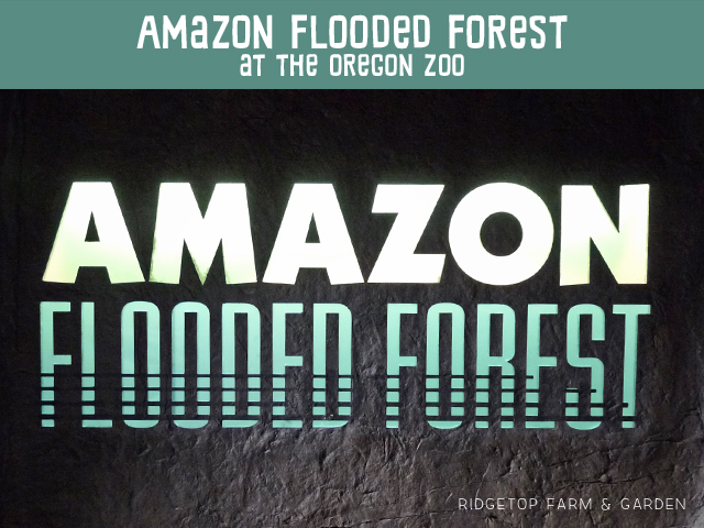 Ridgetop Farm and Garden | Oregon Zoo | Amazon Flooded Forest