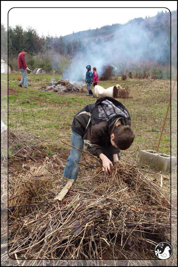 Ridgetop Farm and Garden | February 2014 Update