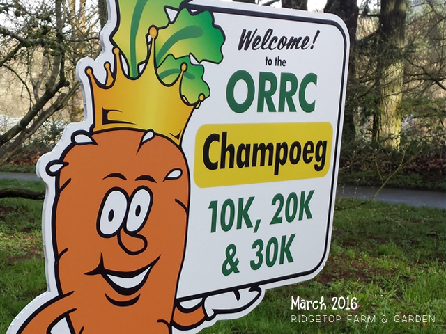 Ridgetop Farm and Garden |2016 Race Recap | ORRC| Champoeg 10K