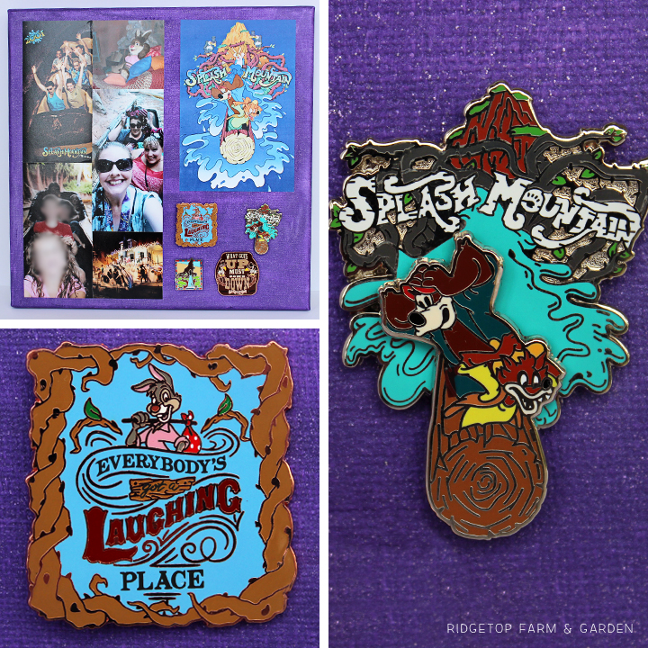 Ridgetop Farm and Garden | Disney | Pin and Photo Display Canvas | Splash Mountain