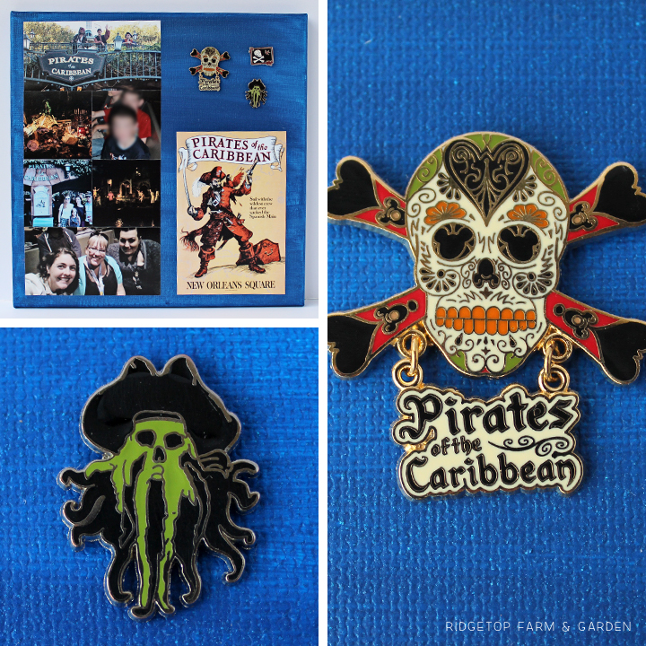 Ridgetop Farm and Garden | Disney | Pin and Photo Display Canvas | Pirates of the Caribbean