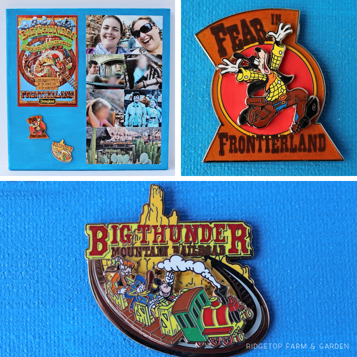 Ridgetop Farm and Garden | Disney | Pin and Photo Display Canvas | Big Thunder Mountain Railroad