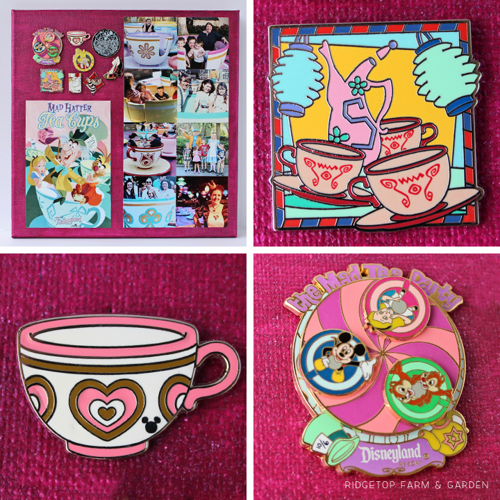 Ridgetop Farm and Garden | Disney | Pin and Photo Display Canvas | Mad Tea Party