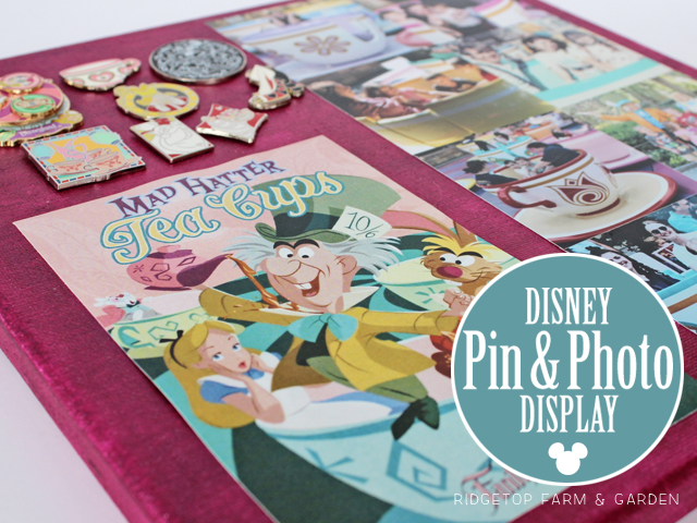 Ridgetop Farm and Garden | Disney | Pin and Photo Display Canvas