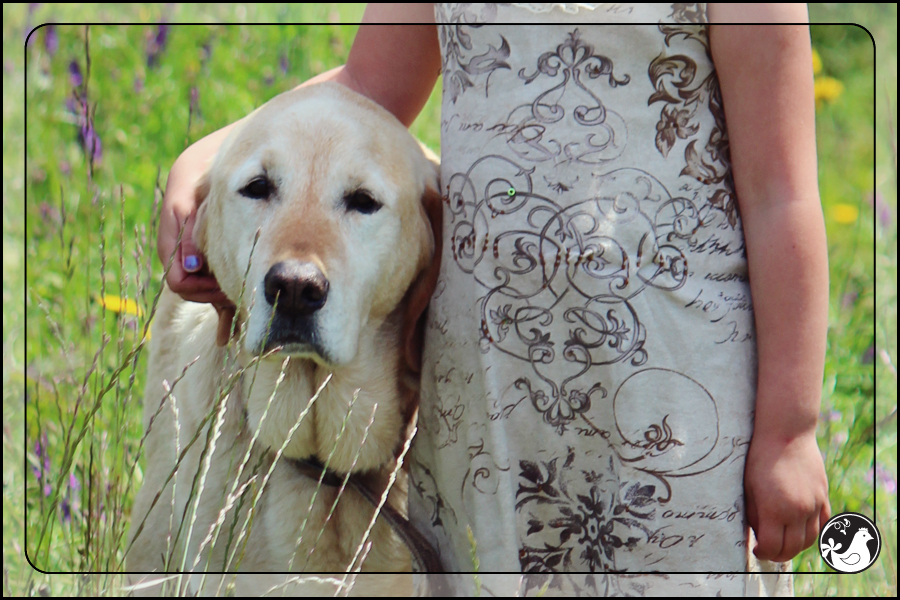 Ridgetop Farm and Garden | April 2014 Update
