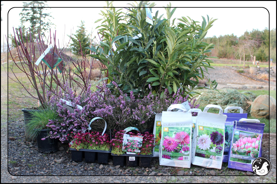 Ridgetop Farm and Garden | March 2014 Update